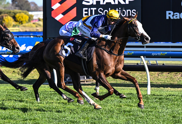 Abounding wins the G2 Tristarc - image Pat Scala / Racing Photos