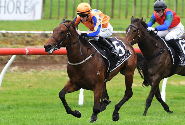 About Last Night scores on debut for Mark Walker and Sam Bergerson at Tauranga.  Photo: Kenton Wright (Race Images)