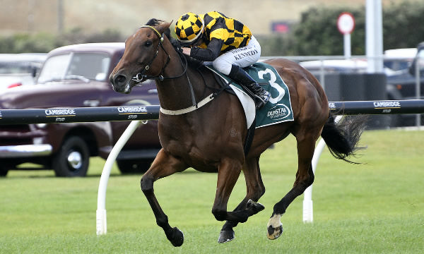 About Time on her way to dominant victory in the Dunstan Stayers Championship Final (2400m) on Boxing Day.  Photo: Kenton Wright (Race Images)