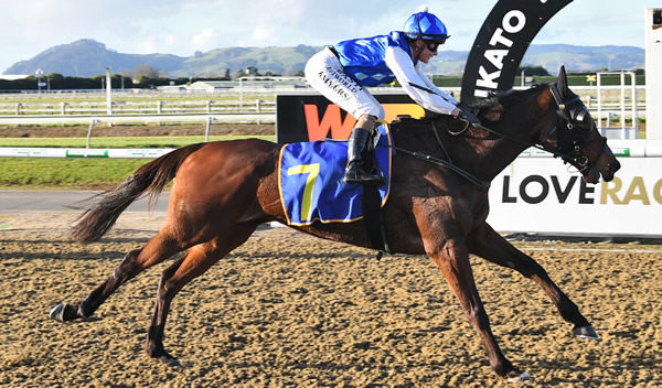 Kelly Myers winning aboard Above The Clouds in the $100,000 TAB Polytrack Championship (2000m) at Cambridge on Friday.  Photo: Kenton Wright (Race Images)