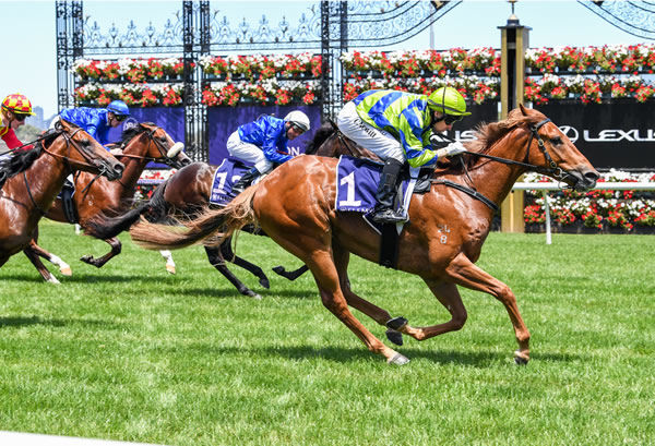 Abseiler won easily at Flemington and is by Extreme Choice - image Racing Photos. 