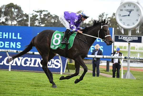 Achiever may head to Queensland for the Derby - image Steve Hart.