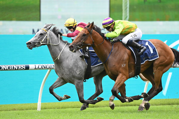 Maurice's grey daughter Achira grinds out a tough win in the opener (image Steve Hart)
