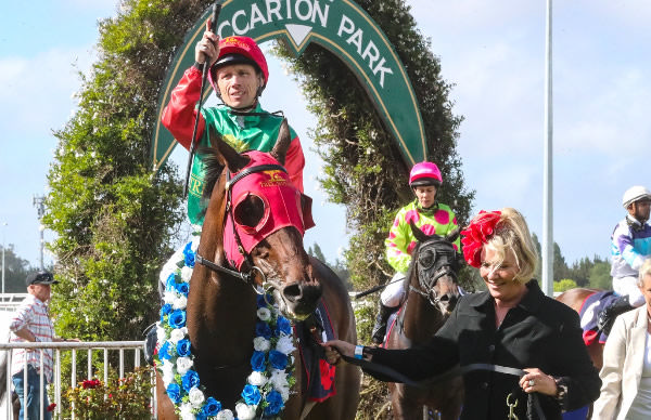 Acquarello upon winning the Gr.3 (1400m) at Riccarton on Wednesday.   Photo: Ajay Berry (Race Images South)