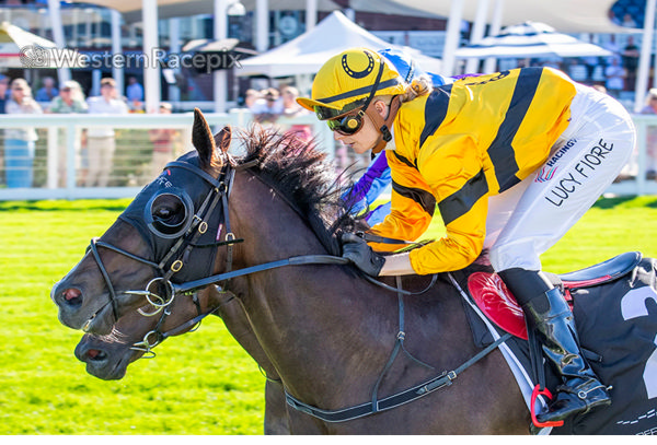 Acromantula wins the Listed Miss Andretti Stakes - image Western Racepix  