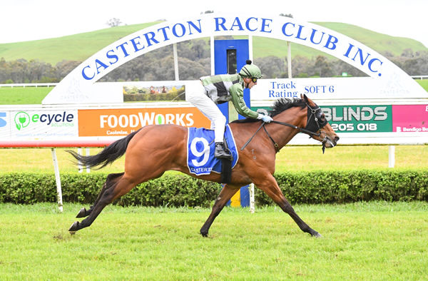 Adament wins at Casterton - image Pat Scala / Racing Photos