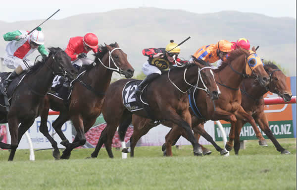 Aegon far left stretches out to snatch victory in the G2 Hawke’s Bay Guineas. Photo Credit: Trish Dunell