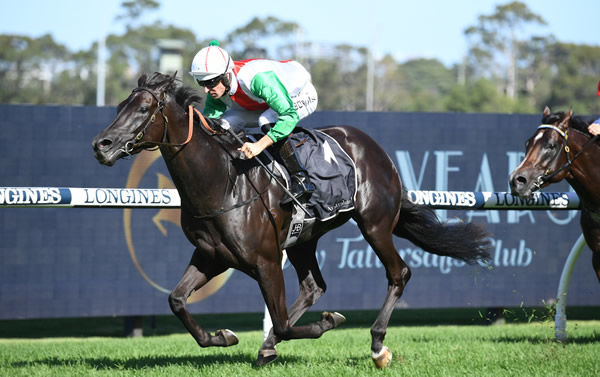 Aegon scores a dazzling win in the G2 Hobartville Stakes - image Steve Hart.