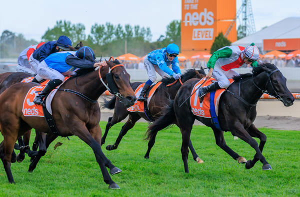 Aegon wins the G3 Moonga Stakes in Melbourne - image Grant Courtney