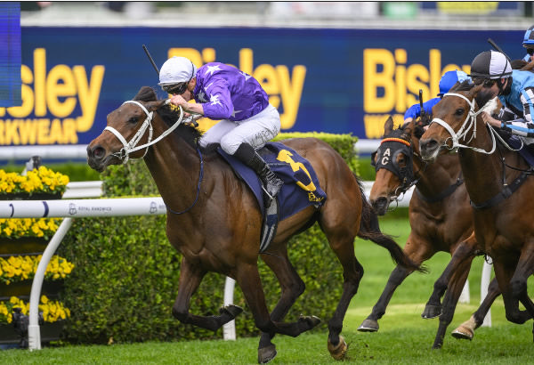 Aeliana won her first stakes race last Saturday - image Steve Hart