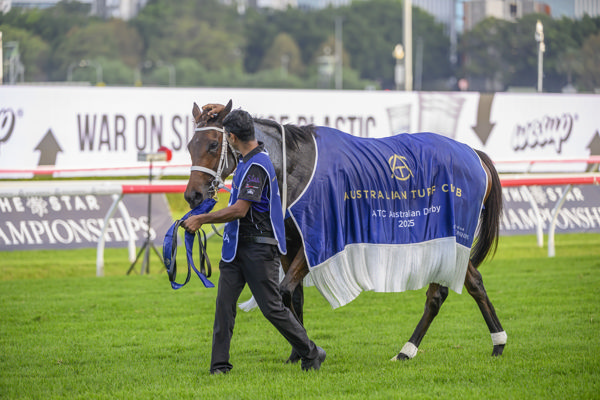 Aeliana is a rare filly winner of the Australian Derby - image Bradley Photography