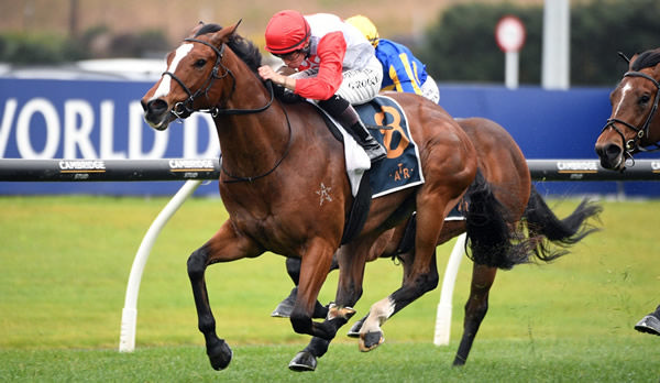 Affirmative Action winning the Listed Sir Colin Meads Trophy (1200m) at Ellerslie.  Photo: Kenton Wright (Race Images)