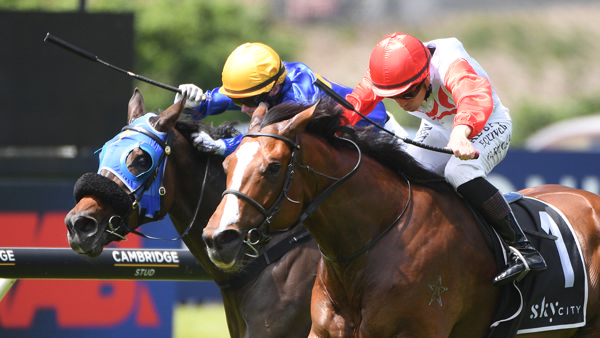 Affirmative Action (outside) will contest Saturday’s Gr.1 Al Basti Equiworld Dubai New Zealand 2000 Guineas (1600m) at Riccarton. Photo: Kenton Wright (Race Images)