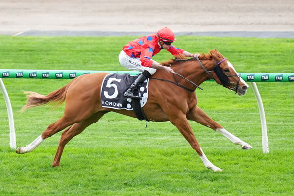 After Summer wins the Oaks Preview - image Scott Barbour / Racing Photos