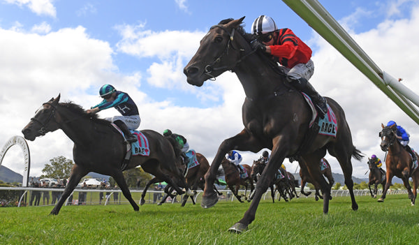 Afternoon Siesta (inside) holds out She's A Dealer to win the Gr.3 Rydges Wellington Cuddle Stakes (1600m). Photo: Peter Rubery (Race Images)
