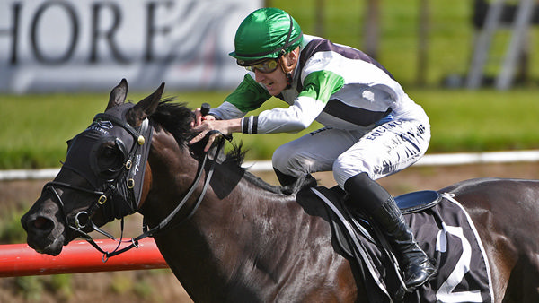 Agera and apprentice jockey Sam McNab took their careers to new heights in the Gr.2 Gartshore Construction Tauranga Stakes (1530m). Photo: Kenton Wright (Race Images)