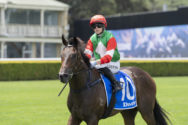 Agrarian Girl and Winona Costin return to scale - image Bradley Photos