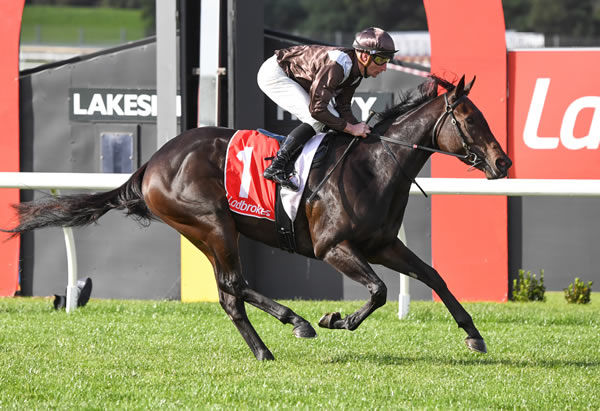 Dissident filly Aidensfield has won at Caulfield and Sandown at her only starts.