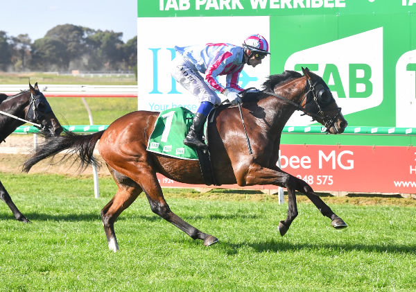 Ailyak scored on debut - image Pat Scala / Racing Photos