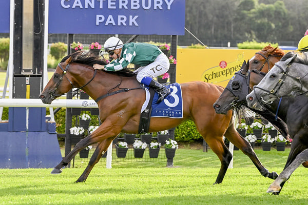 Resuming From A Spell, 3yo Farnan Colt Airworthy Was An All The Way Winner - Image Bradley Photos