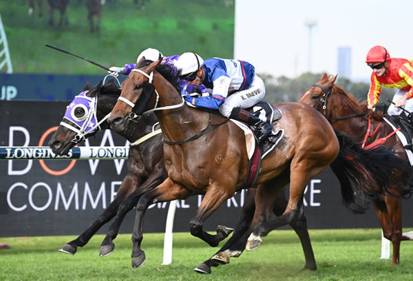 Al Aabir (IRE) claims his first stakes win in Australia - image Steve Hart 