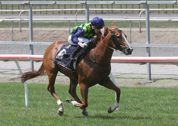 Alabama Gold streaks clear to win the Gr.3 Fairview Matamata Slipper (1200m) Photo Credit: Trish Dunell