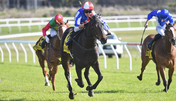 Alabama Lass on her way to a dominant win in the Taupo Pak ‘N Save 3YO Fillies (1100m) on Wednesday.  Photo: Kenton Wright (Race Images)