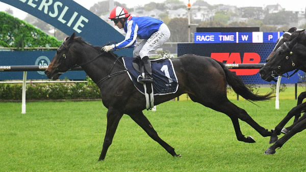 Alabama Lass winning the Gr.2 Windsor Park Stud Soliloquy Stakes (1400m) at Ellerslie on Saturday.  Photo: Kenton Wright (Race Images)