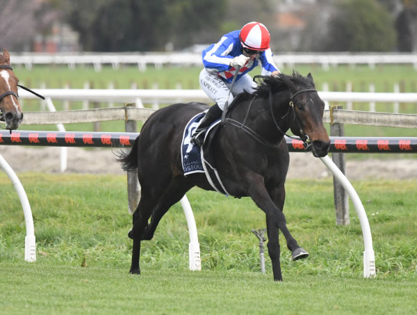 Alabama Lass holds out the challenge of Captured By Love to win the HBPB Thoroughbred Breeders Gold Trail Stakes (1200m) at Hastings.  Photo: Peter Rubery (Race Images Palmerston North)