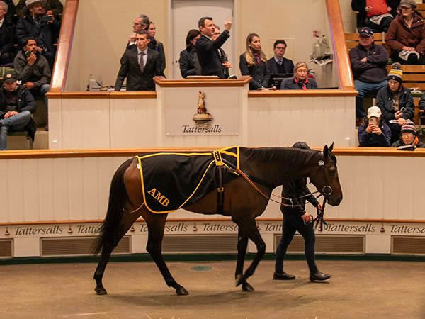 5.4million guinea purchase Alcohol Free will rest her mettle against the best of our mares.