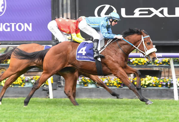 Aldofito too strong at the finish for I Found You - image Brett Holburt / Racing Photos 