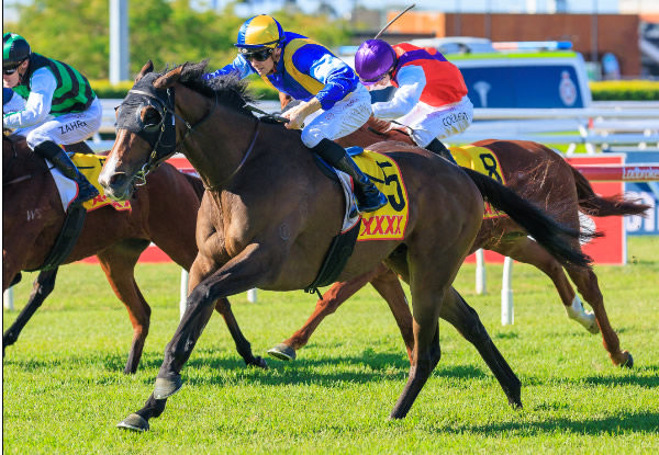 Alegron wins the G2 Brisbane Cup - image Grant Courtney