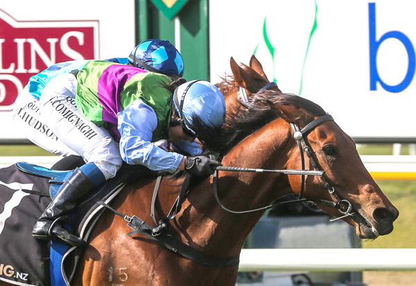 Aljay winning the Gr.3 New Zealand Cup (3200m). Photo: Race Images South