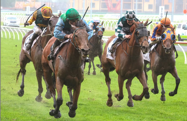 Aljay winning the Listed Sothys Spring Classic (2000m) at Riccarton on Saturday.  Photo: Ajay Berry (Race Images South)