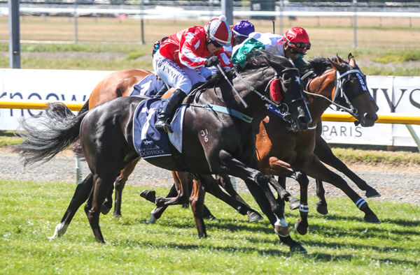 All About Magic gets the better of Belle Fascino to take out the Listed Speight’s Timaru Stakes (1400m) at Riccarton  Photo Credit: Race Images South