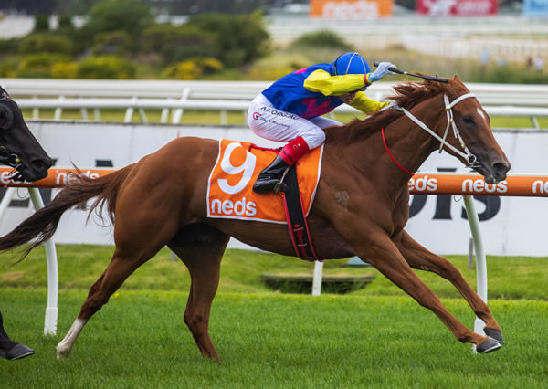 All Banter wins her first stakes race at Caulfield - image Grant Courtney.