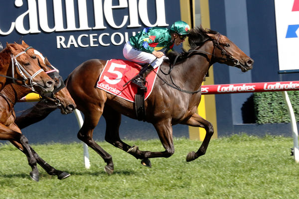 Alligator Blood wins the G3 Caulfield Guineas Prelude - image Grant Courtney