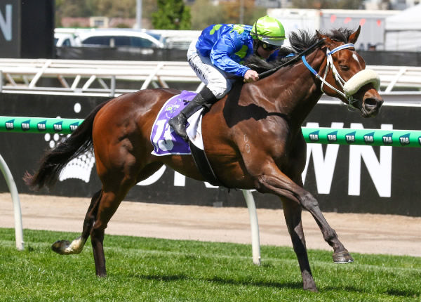 Alma Rise Claims Victory in the A$150,000 Good Friday Appeal Trophy (2000m) Photo Bruno Cannatelli 