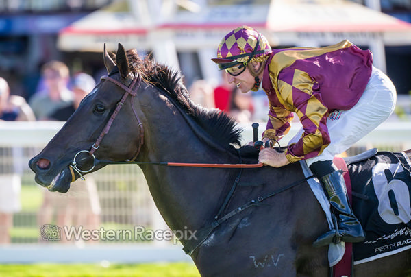 Almighty Class scores his first stakes win - image Western Racepix