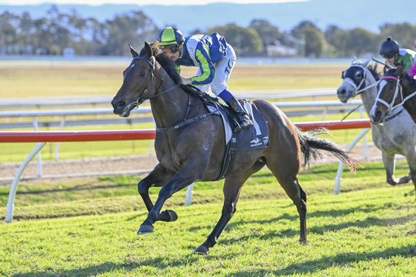 Aloysius breaks his maiden - image Bradley Photography