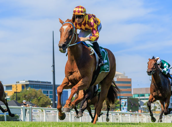 Alpha Sofie scores impressively at Caulfield - image Grant Courtney 
