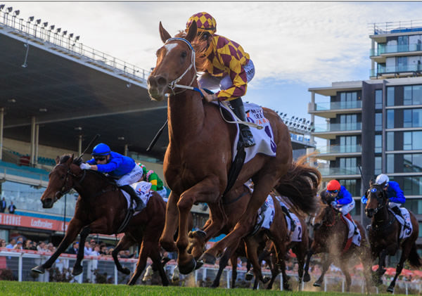 Alpha Sofie leaves her rivals in the dust  - image Grant Courtney