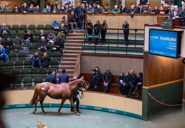 Alpine Star was one of two mares to sell for 6million euros - image Goffs