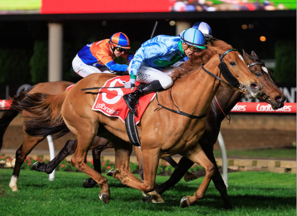 Alsephina wins the G2 Stocks Stakes - image Grant Courtney