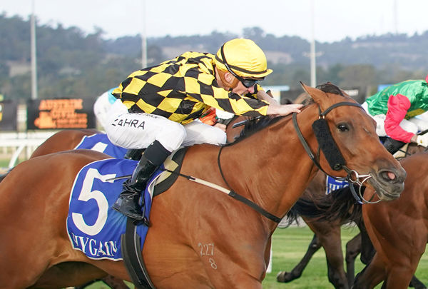 Always on My Mind wins at Pakenham on debut - image Scott Barbour. 