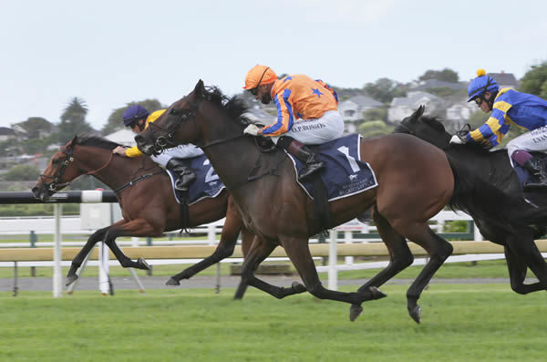 Amarelinha is about to collar Needle And Thread (inner) as they close on the finish line in the Gr.3 McKee Family Sunline Vase (2100m) at Ellerslie Photo: Trish Dunell