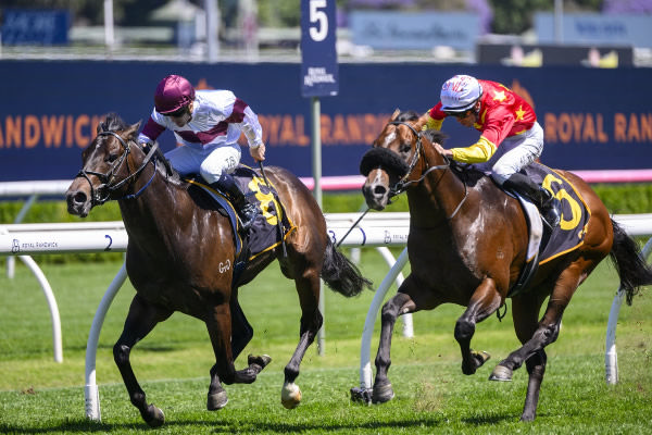 Amazing Eagle wins the Listed Sir Brian Crowley Stakes - image Steve Hart