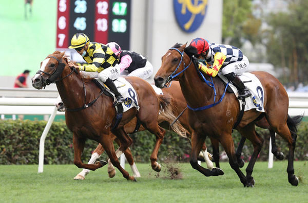 Amazing Star beats Stronger to win the G2 Sprint Cup - image HKJC 