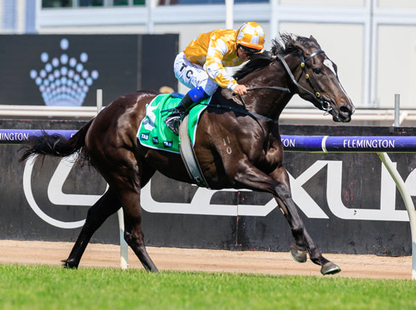 Amazonian Lass goes for home in the G2 Wakeful - image Grant Courtney