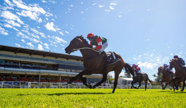 Amelia's Jewel makes winning debut (image Western Racepix/Simon  Miller Racing